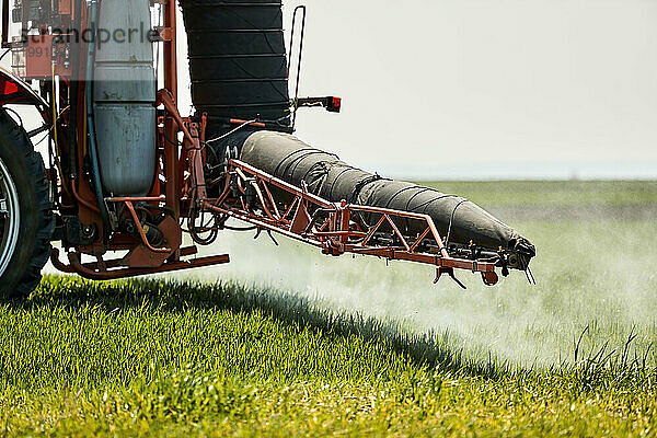 Serbien  Provinz Vojvodina  Traktor versprüht Herbizid im Frühlingsweizenfeld