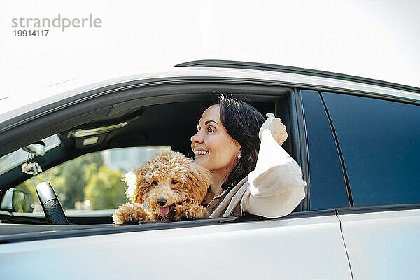 Smiling woman sitting with poodle dog in white car