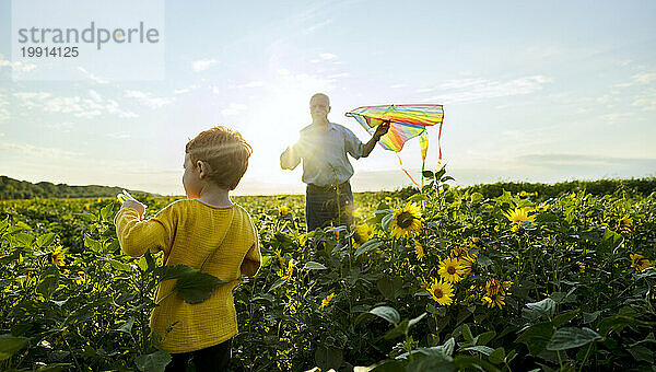Großvater hält Drachen mit Enkel im Sonnenblumenfeld