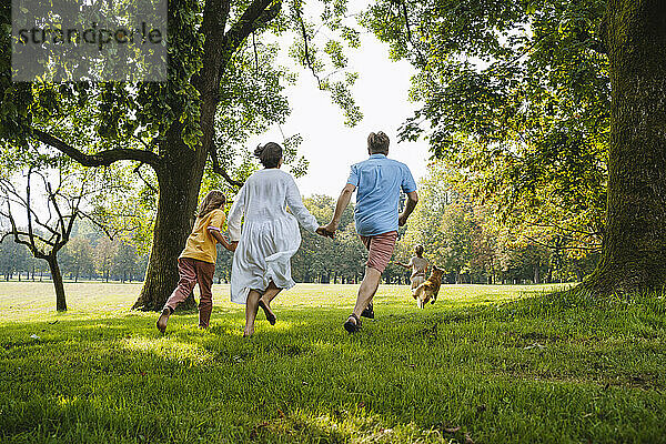 Familie hält Händchen und rennt auf dem Gras im Park auf den Hund zu