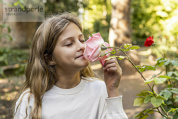 Lächelndes Mädchen riecht rosa Rosenblüte im Park