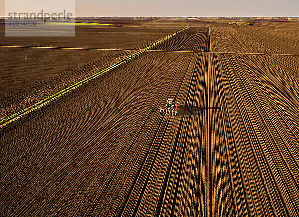 Serbia  Vojvodina Province  Aerial view of tractor sowing seeds in plowed corn field