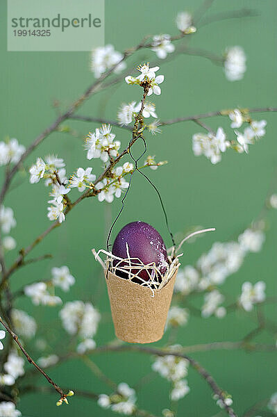 Easter egg hanging from blossoming branch