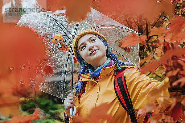 Glückliche Frau hält Regenschirm und berührt Blätter im Herbstpark