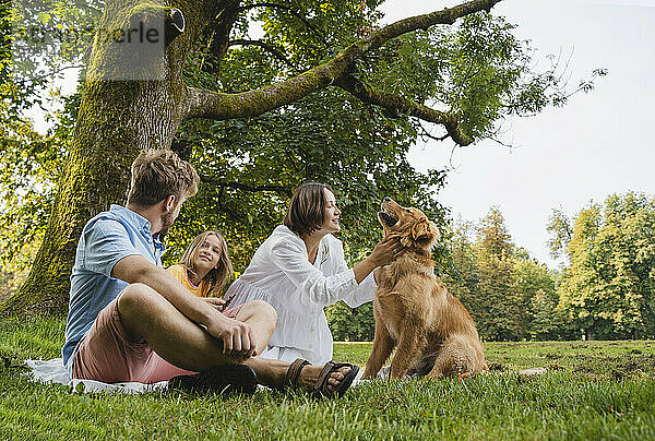 Familie genießt Wochenende mit Hund  der auf Gras im Park sitzt