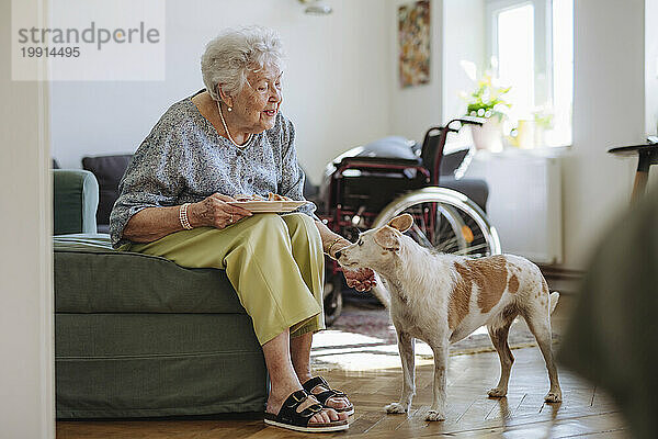 Lächelnde ältere Frau hält einen Teller mit Essen in der Hand und streichelt den Hund zu Hause