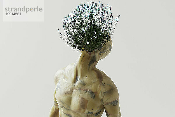 3D-Darstellung von Blumen  die auf dem Kopf eines Mannes ohne Hemd wachsen