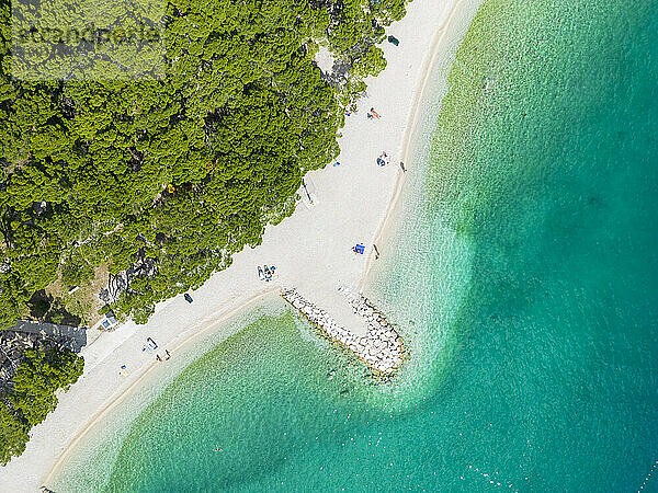 Kroatien  Gespanschaft Split-Dalmatien  Krvavica  Luftaufnahme eines bewaldeten Strandes im Sommer