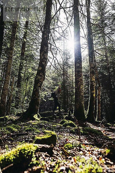 Junge Frau spaziert an sonnigem Tag im Wald
