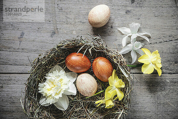 Ostereier und Narzissenköpfe im dekorativen Nest