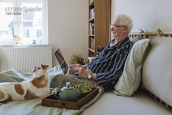 Älterer Mann benutzt Laptop und Hund sitzt zu Hause im Bett