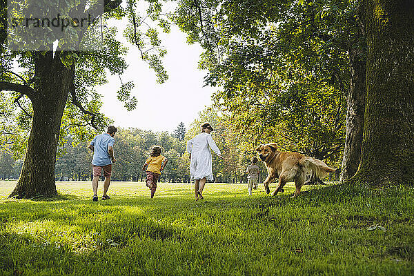 Familie verbringt Freizeit mit Hund  der im Park auf Gras läuft