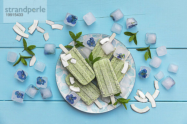 Studioaufnahme von Eiswürfeln mit essbaren Blüten und hausgemachtem Minz- und Kokosnuss-Eis am Stiel