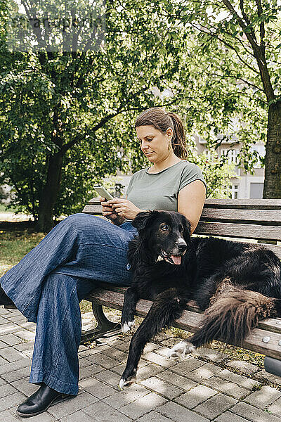 Reife Frau mit australischem Schäferhund benutzt Smartphone auf Bank im Park