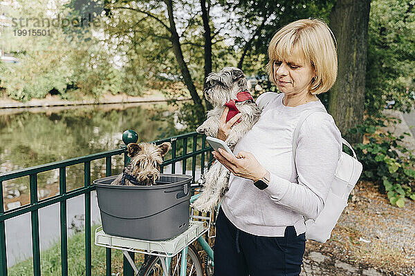 Blonde reife Frau mit süßen Hunden benutzt Smartphone  während sie im Park am Fahrrad steht