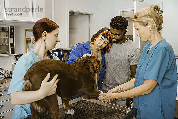 Trauriges Paar schaut Bulldogge an  während Krankenschwester und Tierarzt ihn auf dem Tisch in der Tierklinik untersuchen