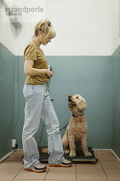 Frau schaut Hund an  der beim Tierarzt auf der Waage sitzt