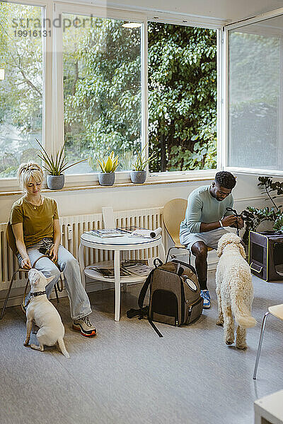 Mann und Frau sitzen auf Stühlen  während sie mit Hunden in der Tierklinik warten