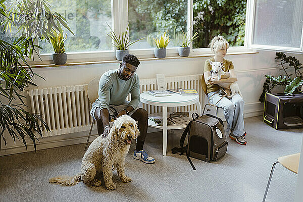 Mann und Frau mit Hunden sitzen in der Tierklinik und warten