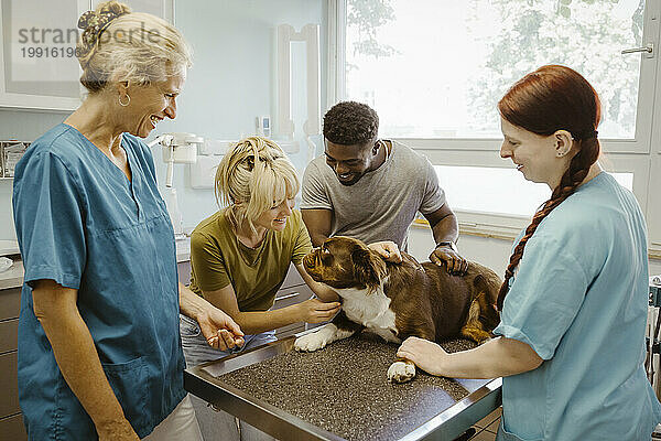 Lächelndes Paar spricht mit Hund auf dem Untersuchungstisch  während Tierärzte in der Klinik arbeiten