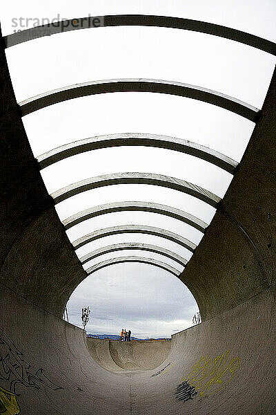 Die volle Pipe im Alamosa Skatepark in Albuquerque  NM.