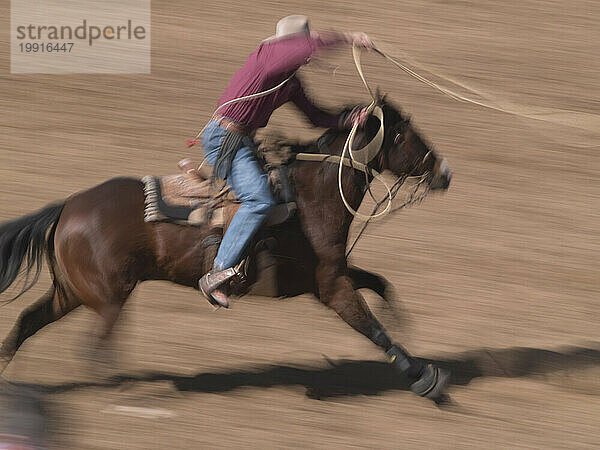 Abseilen im Rahmen des Rodeo-Wettbewerbs in Tucson  Arizona. (Bewegungsunschärfe)