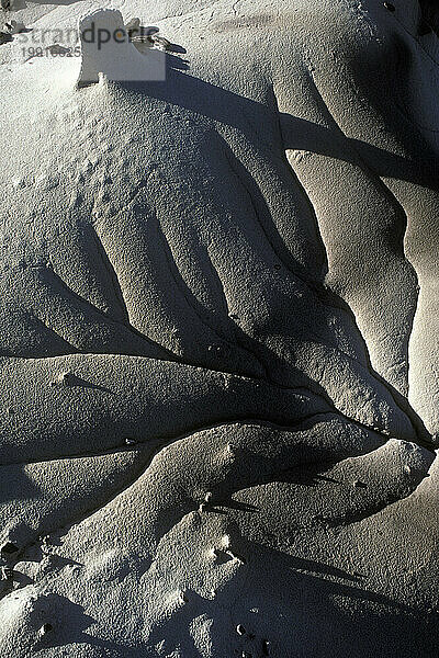 Bisti Badlands