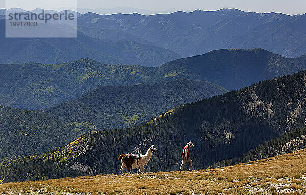 Eine Frau geht mit einem Lama während einer Wanderung im Norden von New Mexico spazieren.