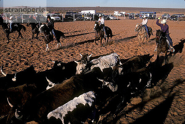 Navajo-Rodeo