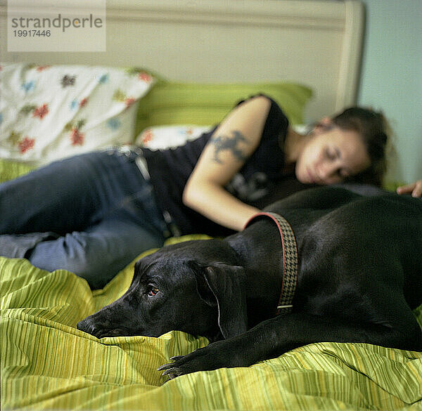 Junge Frau und ihr Hund entspannen sich gemeinsam  während sie auf dem Bett liegen (Deutsche Dogge).