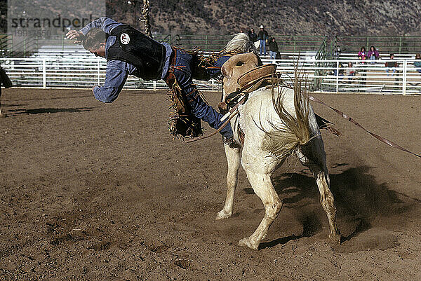 Rodeoschule