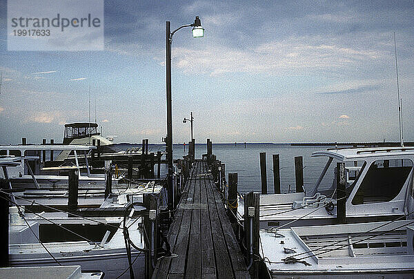 Chesapeake Bay-Dock.