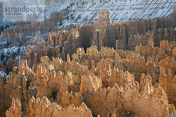 Formationen vom Sunset Point im Bryce Amphitheatre im Bryce Canyon National Park  Utah aus gesehen.