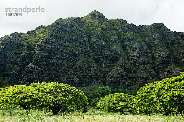 Ko'olau-Gebirge bei Kaava. auf der Ostseite von Oahu  Hawaii.