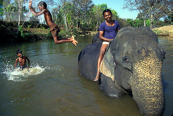 Kanha-Nationalpark  Indien