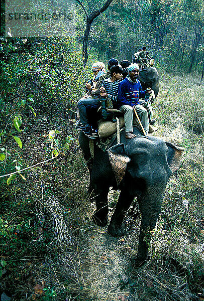 Kanha-Nationalpark  Indien