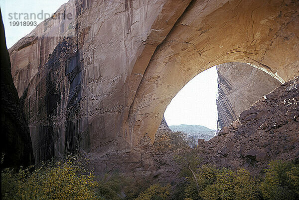 Canyon-Land