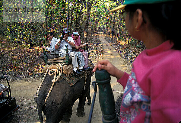 Kanha-Nationalpark  Indien