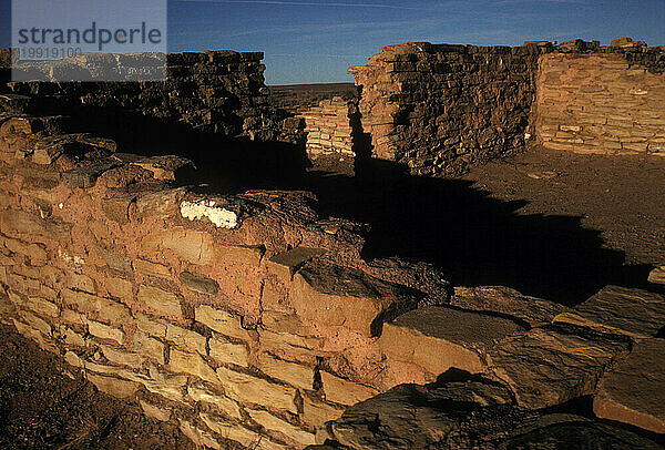 Petrified-Forest-Nationalpark