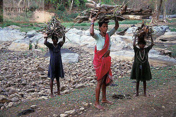 Kanha-Nationalpark  Indien