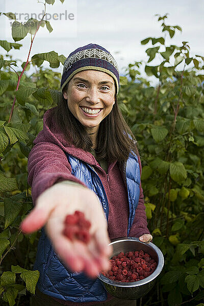 Eine erwachsene Frau lächelt  während sie beim Beerenpflücken in Homer  Alaska  frische Himbeeren anbietet.