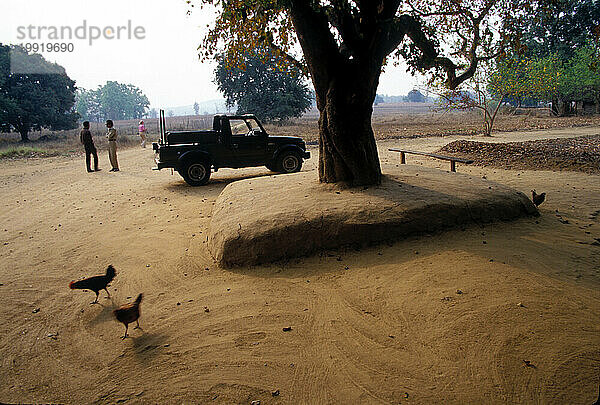 Kanha-Nationalpark  Indien