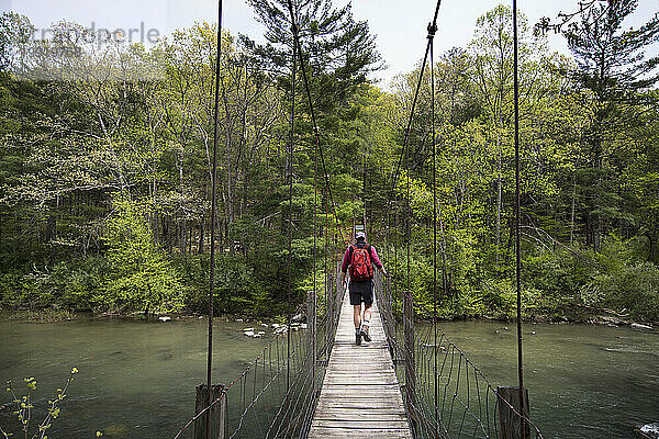 Mann wandert entlang der Hängebrücke auf dem Appalachian Trail in der Nähe des Goshen Pass  Blue Ridge Mountains  Virginia  USA