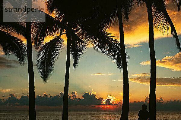 Silhouette einer Frau  die bei Sonnenuntergang gegen eine Palme landet