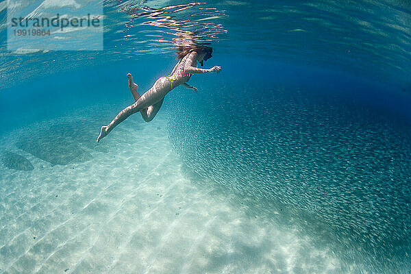 Ein Mädchen schwimmt unter Wasser mit einem großen Fischschwarm auf Hawaii.