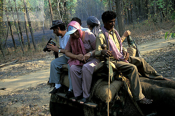 Kanha-Nationalpark  Indien