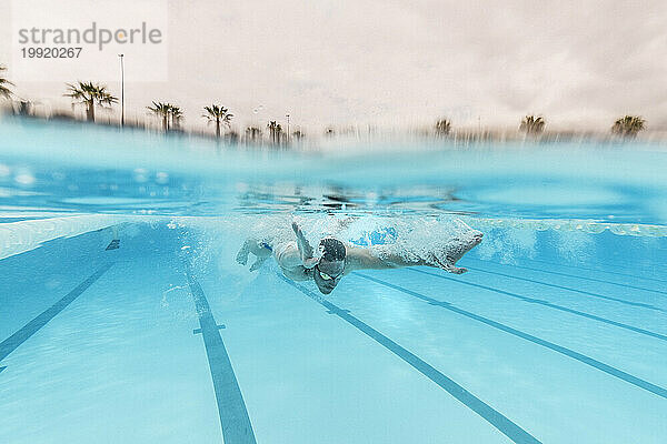 Olympisches Schwimmtraining im Pool  Teneriffa  Kanarische Inseln  Spanien