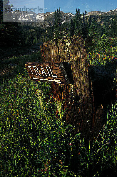 Colorado Rockies