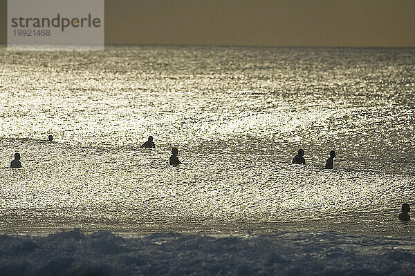 Silhouetten von Surfern und Wellen