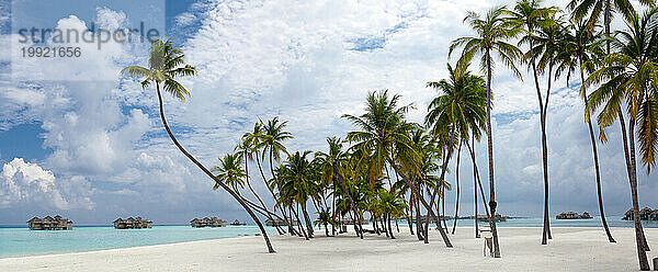Panoramablick auf den Strand mit Palmen
